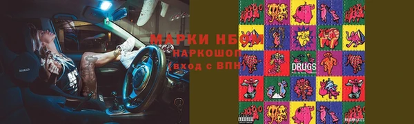 сатива Баксан