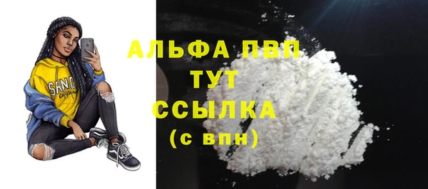 сатива Баксан