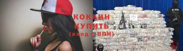 сатива Баксан