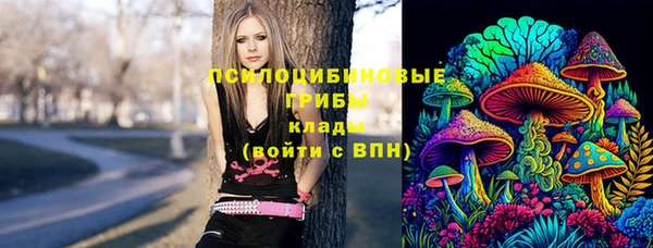 сатива Баксан