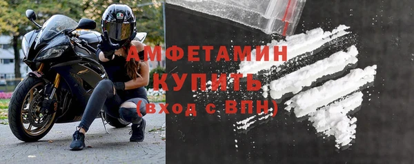 сатива Баксан