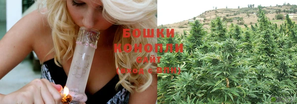 сатива Баксан