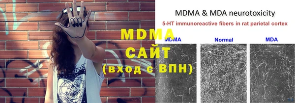 сатива Баксан